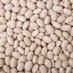 Продати квасолю. Куплю квасолю. Приймаємо квасолю на перероб