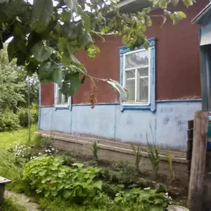 Продам дом в с.Волосковцы Менского района