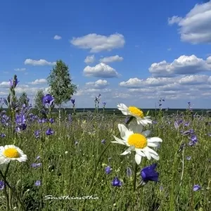 Участок в хорошем месте