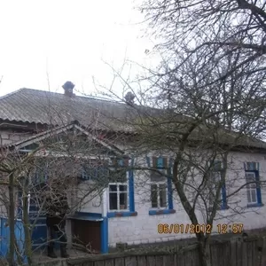газифицированный дом на окраине села.,  Черниговская,  Куликовка,  Грабов