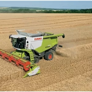 Уборка урожая комбайнами  CLAAS Lexion