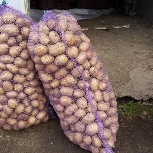 Продам бюджетный картофель,  картофель на переработку