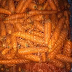 Продам морковь оптом для переработки на бюджет