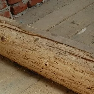 Пропитка для уничтожения насекомых в древесине – Lignofix I-Рrofi
