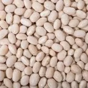 Продати квасолю. Куплю квасолю. Приймаємо квасолю на перероб