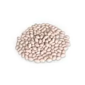 Насіння квасолі – Неві Бінс,  Пінто,  Ред Кідні,  Червона Шапочка