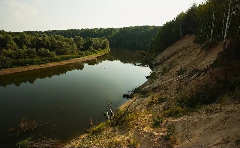 Продам земельный участок Черниговская обл. Козелецкий р-н. с.Полесское 2