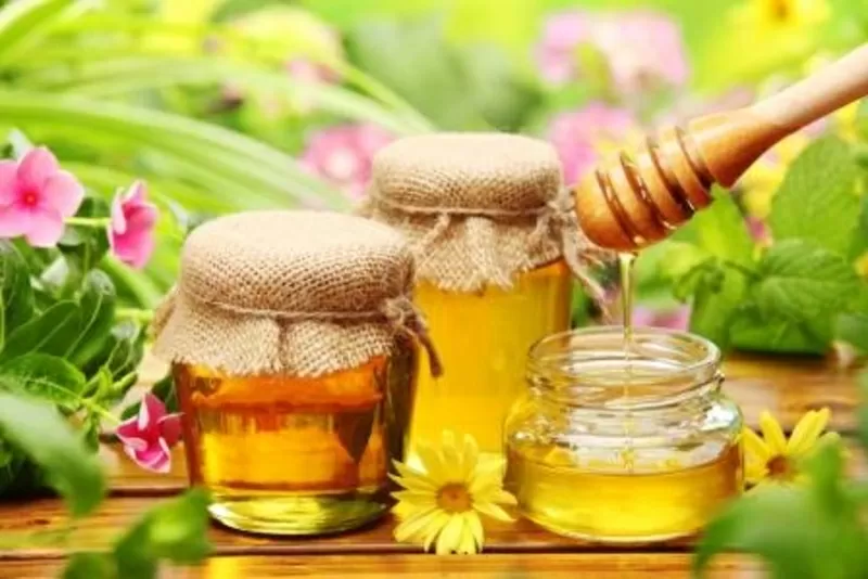 Продам – Мёд из домашней пасеки – Скидки %