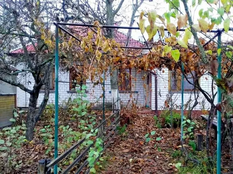 Дом в Соколовке,  15 соток,  река,  лес 13