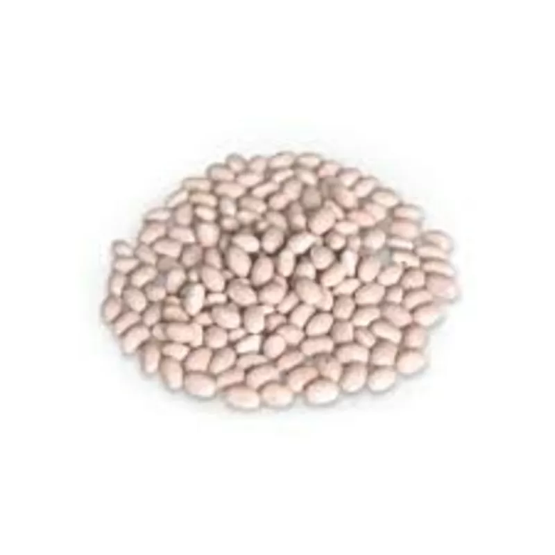 Насіння квасолі – Неві Бінс,  Пінто,  Ред Кідні,  Червона Шапочка