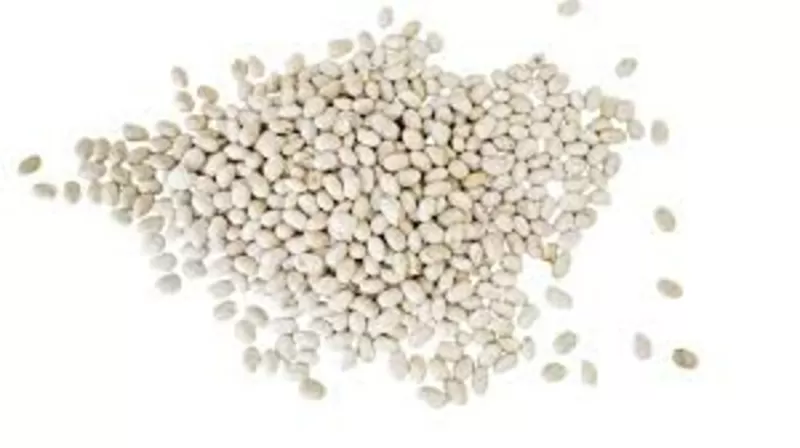  Закуповуємо квасолю великими партіями для переробки